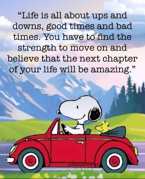 Snoopy Happy Anniversary, Snoopy Collectibles, Charlie Brown Quotes, College Quotes, Peanuts Charlie Brown Snoopy, Hug Quotes, Postive Life Quotes, Snoopy Funny, Life Quotes Pictures