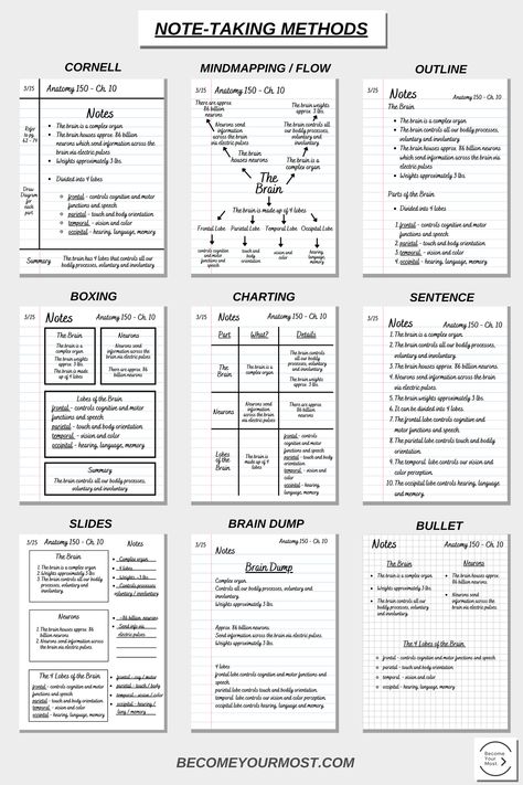 Unlocking the Secrets of My Brain: Anatomy 150 Notes! ✨  Ever wondered how your brain works?  🤯 This isn't just another anatomy lesson; it's a visual journey into the amazing 3-lb. organ controlling everything I do!  From the 86 billion neurons firing electric pulses to the four lobes (frontal, parietal, temporal, occipital) managing cognitive function, touch, vision, and more—I'm breaking it all down.  Cornell, mind mapping, outlining, boxing, charting, slides, brain dump & bullet methods explained visually!  #Anatomy150 #Brain #NoteTaking #StudyTips #StudyGram #MindMapping #CornellNotes  Save this pin for future study sessions! Best Revision Methods, Study Guides Template, Revision Planner Template, Revision Ideas Gcse Tips, How To Revise For Exams, Study Plan For Exams, Study Methods For Exams, Gcse Study Tips, Revision Hacks