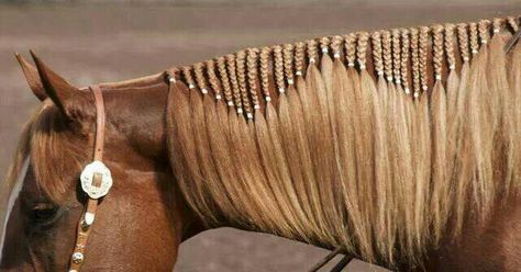 Western Horse Hair Styles, Braiding Horse Tails, Horse Braids Tutorial, Horse Mane Ideas, Mane Braiding, Horse Hairstyles, Horse Braids, Horse Mane Braids, Horse Hair Braiding