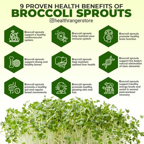 Benefits Of Sprouts, Micro Greens Benefits, Broccoli Microgreens Recipe, Sprout Benefits, Broccoli Sprouts Benefits, Microgreens Benefits, Microgreens Business, Health Benefits Of Broccoli, Sprouts Benefits