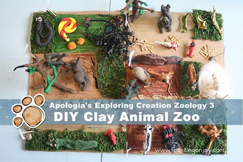 Apologia Exploring Creation Zoology 3 DIY Clay Animal Zoo Zoology Activities For Preschool, Zoology Project Ideas, School Project Animal Habitat, Zoology Unit Study, Apologia Zoology 3 Land Animals, Make Your Own Clay, Zoo Project, Basket Fillers, Clay Animals