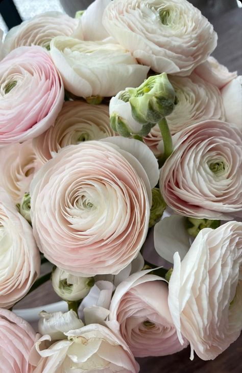 Pale Pink Flower Arrangements, Pale Pink And Cream Wedding, Pale Pink Ranunculus, Ranculus Flowers Bouquet, Neutral Flowers Aesthetic, Cream And Pink Aesthetic, Ranunculus Aesthetic, Pink Ranunculus Bouquet, Pastel Pink Flowers