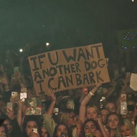 Concert Signs, Fan Poster, Grunge Music, Fan Signs, Concert Posters, Funny Signs, Louis Tomlinson, Reaction Pictures, Funny Photos