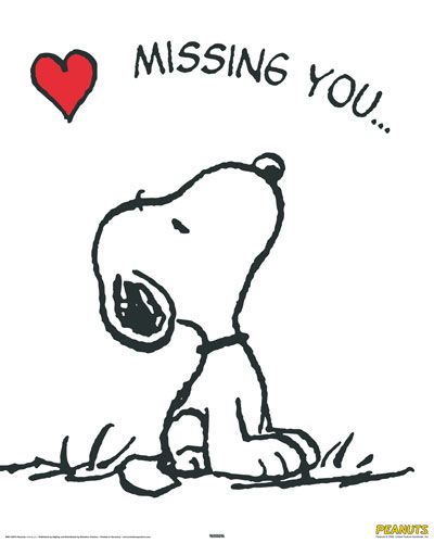 I did today and everyday that we arent togethet ... Search "missed you today" my pin to you is the second one hahaha its a goodmorning one ...i love you baby i really thought that i was going to see you today but its alright baby i understand i really do  i love you so much :* Charlie Brown Y Snoopy, Snoopy Dog, Lucy Van Pelt, Keep Looking Up, Snoopy Images, Peanuts Cartoon, Snoopy Quotes, Snoop Dog, Kuching