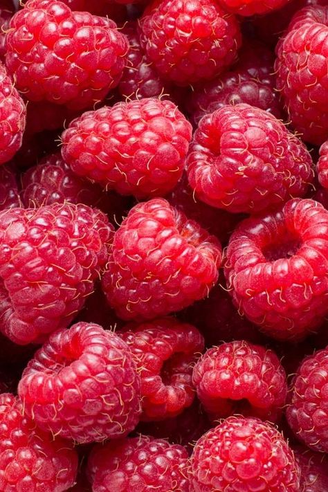 Fresh raspberries. Superfood Fruits, September Homeschool, Raspberry Images, Yellow Raspberries, Raspberry Plants, Frozen Raspberries, Freeze Dried Raspberries, Dried Raspberries, Raspberry Fruit