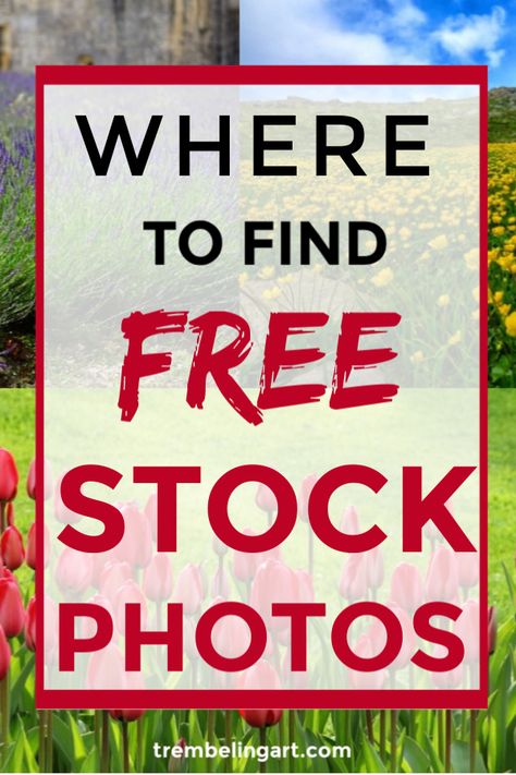 Need a stock photo for your website? Or maybe you need some reference photos for your next creative masterpiece.Click for a list of great "free" stock photo sites that you can use for your artwork, website or social media posts. #stockphotos #referencephotos #artwork Photos For Artists, Free Reference Photos For Painting, Free To Use Images Stock Photos, Free Pictures Image, Photos To Paint Inspiration, Photos For Painting Reference, Free Reference Photos For Artists, Copy Right Free Images, Pixabay Image Free Photos