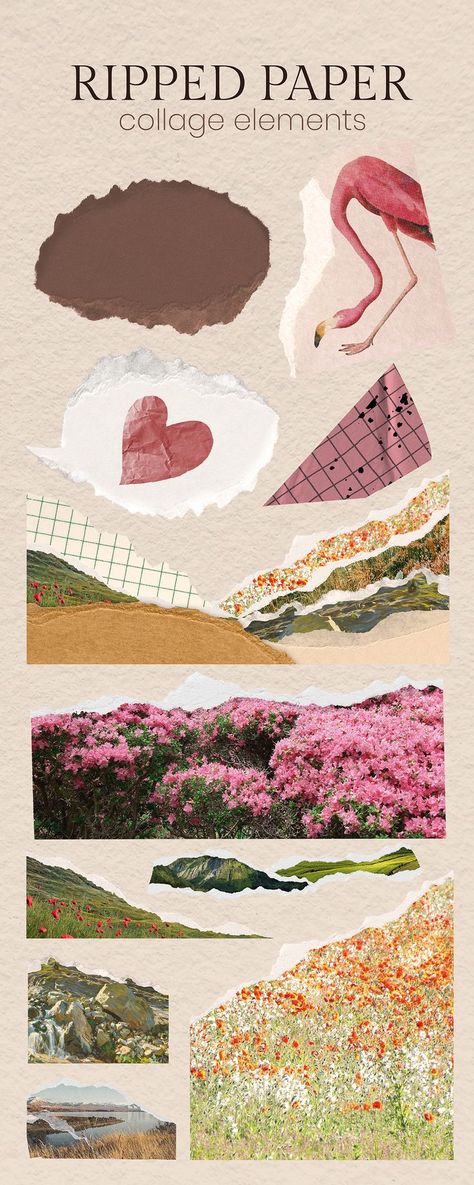 Collage Border Designs, Sticker Pages Aesthetic, Digital Collage Elements, Cute Collage Template, Collage Pieces Png, Ripped Paper Png Aesthetic, Scrapbook Stickers Png, Ripped Paper Aesthetic, Ripped Paper Design