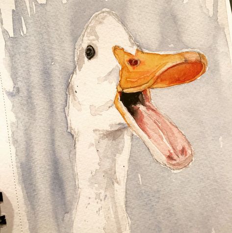 Paintings Of Ducks, Watercolor Duck Easy, Cute Duck Drawings, Cute Duck Painting, Duck Watercolor Painting, Ducks Watercolor, Watercolour Duck, Watercolor Ducks, Duck Drawings