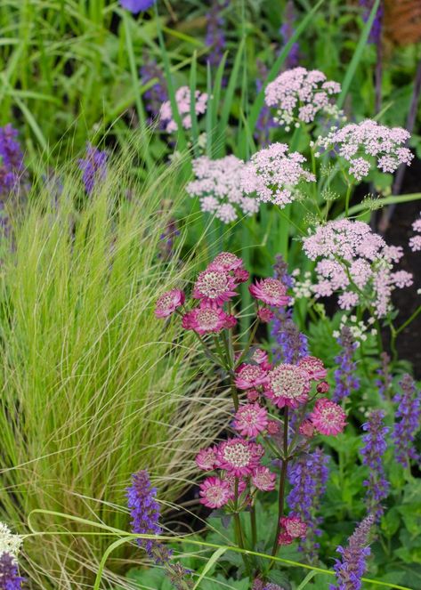 RHS Chatsworth Flower Show 2018 John Deere Garden Naturalistic Garden, Garden Idea, Garden Design Layout, Garden Quotes, Wildlife Gardening, Low Maintenance Garden, Beautiful Flowers Garden, Love Garden, Garden Borders