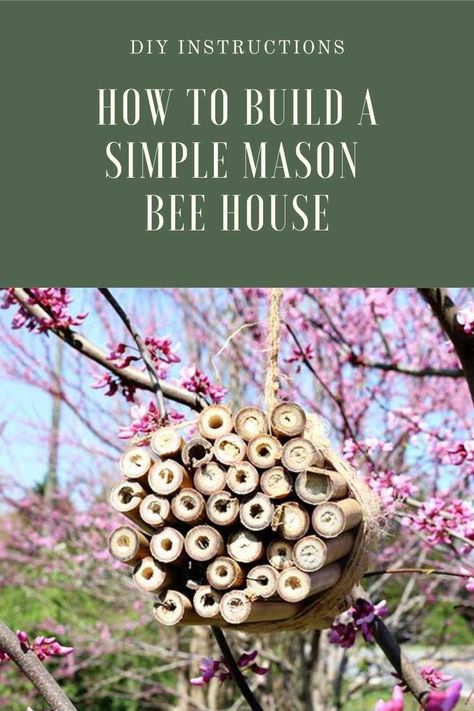 How to make a diy mason bee house with bamboo. This diy mason bee house is easy for for kids or for adults to make. Mason bees use a DIY mason bee hotel for protection in the winter. Learn how to build DIY mason bee house to protect the bees. Bees lay larvae in a DIY mason bee hotel in the bamboo tubes. How To Build A Bee House, Diy Mason Bee House, Bee Hotels Diy, Bee House Diy, Bee Crafts For Adults Diy, Mason Bee House Diy, Mason Bee House, Bamboo Diy, Bee Houses