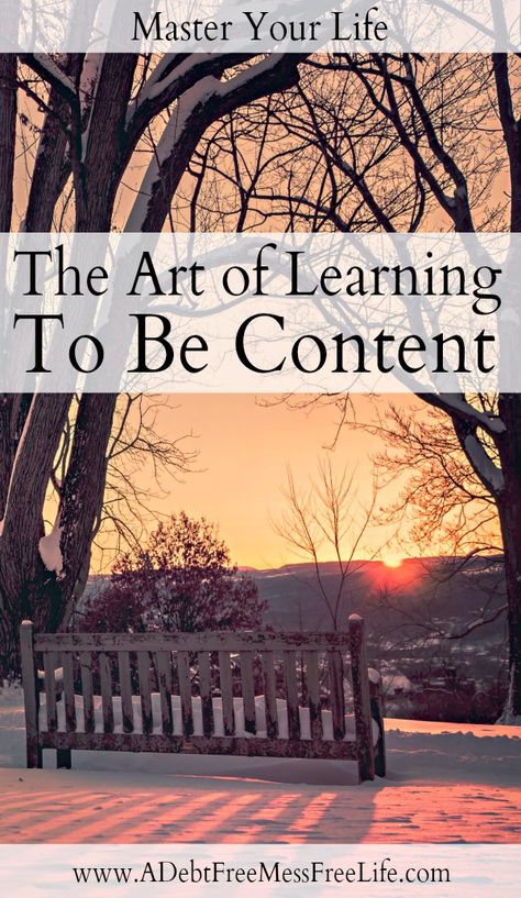 Being Content, Financial Intelligence, How To Become Happy, Be Content, Living On A Budget, Basic Facts, Free Life, Live Simply, Simple Living