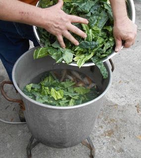 Canning Collard Greens Recipe, Canning Collard Greens, Canned Collard Greens Recipe, Canning Greens, Collard Plant, Working Pantry, Canning Veggies, Southern Collard Greens, Diy Canning