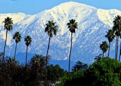 San Gabriel Mountains - Los Angeles - Reviews of San Gabriel Mountains - TripAdvisor Palm Tree Photography, San Gabriel Mountains, San Gabriel Valley, Photography Los Angeles, California History, California City, West Covina, San Gabriel, Tree Photography