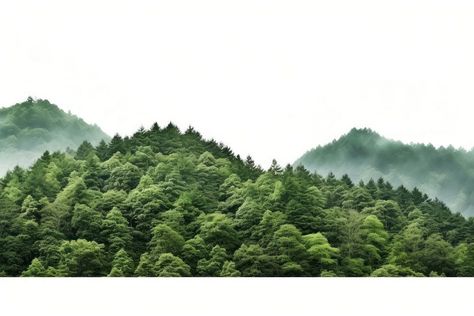 Green mountain forest vegetation outdoors. AI generated Image by rawpixel. | premium image by rawpixel.com Forest Vegetation, White Scenery, Mountain Texture, Tree Day, Conifer Trees, Mountain Forest, Green Mountain, Aerial View, High Res