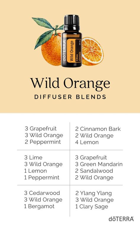 Wild Orange Diffuser Blends, Essential Oil Roller Bottle Recipes, Doterra Oils Recipes, Selling Essential Oils, Wild Orange Essential Oil, Doterra Diffuser, Doterra Diffuser Blends, Essential Oil Combinations, Doterra Essential Oils Recipes