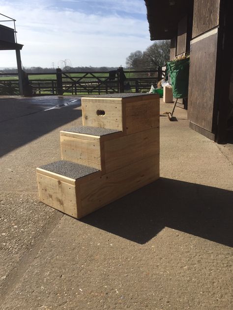 Wooden Horse Mounting Block, Horse Mounting Block, Horse Barn Designs, Scaffold Boards, Wooden Horse, Barn Design, Barn Ideas, Wood Pallet Projects, Horse Barn