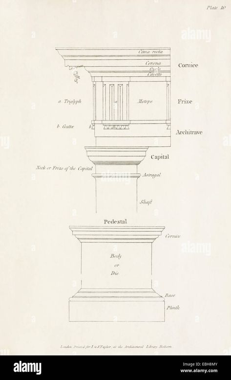 Download this stock image: Tuscan order entablature, column and plinth. See description for more information. - EBH8MY from Alamy's library of millions of high resolution stock photos, illustrations and vectors. Tuscan Order Column, Architectural Terms, Tuscan Column, Rome Architecture, Finish Carpentry, Wall Wood, Ancient Architecture, Open Book, Wood Wall Decor