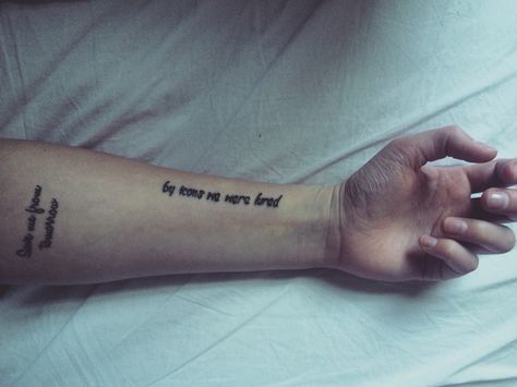 Placements #tattoo #arm #woman #libertines #lyrics   Omg this is so beautiful Tattoo Arm, A Tattoo, So Beautiful, Tattoo Quotes, Tattoos