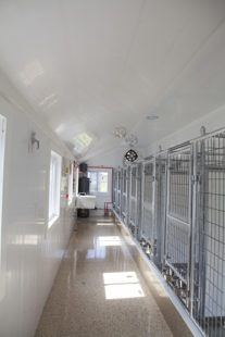 Dog Breeders Kennels, Dog Kennel Panels, Kennel Diy, Boarding Kennels, Dog Boarding Kennels, Raised Panel Shutters, Dog Kennel Designs, Diy Dog Kennel, Dog Grooming Shop