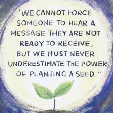 Never underestimate the power of planting a seed! Love Truths, Eat Better, Mind Body Spirit, Never Underestimate, Planting Seeds, Good Advice, Buddhism, Planting, Words Of Wisdom