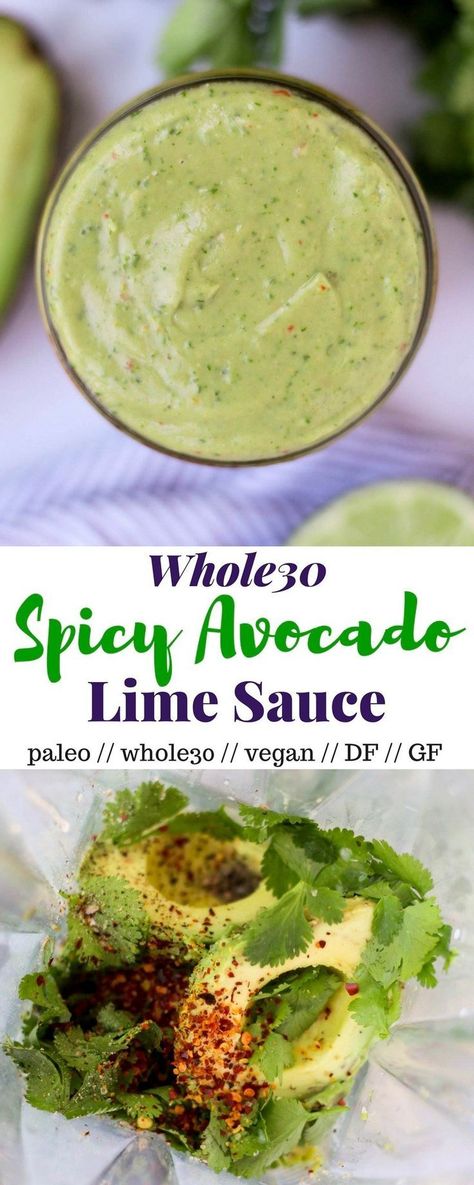 Avocado Recipes Sauce, Sauce With Avocado, Avocado Sauce For Burgers, Avocado Lime Sauce, Spicy Avocado Sauce, Avocado Soy Sauce, Avocado Jalapeno Sauce, Avocado Cilantro Sauce, Avocado Mojo Sauce