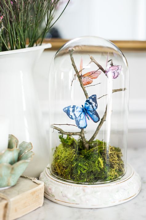 How to turn a cheap, thrifted dome clock into a Victorian style butterfly terrarium cloche with free printables to make your own paper butterflies for spring. #springdecor #thrifteddecor #cloche #springvignette #girlydecor #butterflies Diy Butterfly Decorations, Crayon Wreath, Girls Bedroom Makeover, Spring Centerpiece, Diy Butterfly, Upcycling Ideas, Glass Insulators, Butterfly Decorations, Garden Decorations