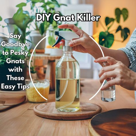 I’ve had enough of sneaky gnats buzzing around my home. These tiny pests can be super annoying, especially when they seem to come out of nowhere. That’s why I decided to try some DIY gnat Knats Killer Diy, How To Kill Gnats, Gnat Spray, How To Get Rid Of Gnats, Diy Bug Spray, Out Of Nowhere, Bug Spray, Had Enough, Say Goodbye