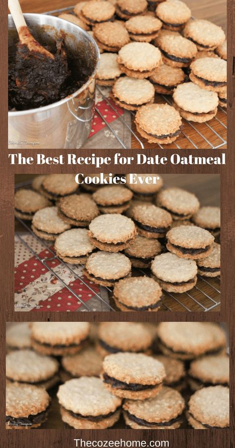 Date Sandwich, Date Oatmeal, Date Recipes Desserts, Cookies For Breakfast, Date Cookies, Sandwich Cookie, In A Perfect World, Filled Cookies, Oatmeal Cookie Recipes