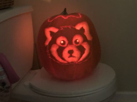 Please follow #iloveredpandas My Annual Pumkin Carving Turned into this #redpanda #panda #cutebear #bear #animal #firefox #panda #pandabear Red Panda Pumpkin Carving, Pumkin Carving Animal, Red Panda Pumpkin, Panda Pumpkin Carving, Panda Pumpkin, Pumpkin Cravings, Pumkin Carving, 90s Fashion Outfits Hip Hop Party, Holiday Hack