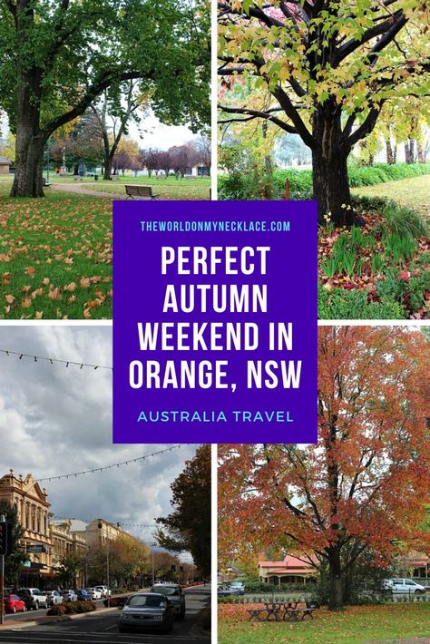 Orange Nsw Australia, Australia Autumn, Orange Nsw, New Zealand Itinerary, Australia Itinerary, Australia Vacation, Autumn Orange, Autumn Weekend, Australia Travel Guide