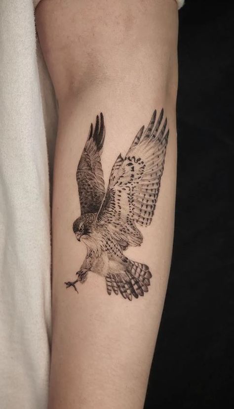 Hawk Fine Line Tattoo, Celtic Hawk Tattoo, Protector Tattoo Women, Sparrow Hawk Tattoo, Feminine Hawk Tattoo Beautiful, Hawk Face Tattoo, Hawk Tattoo Women, Hawk Skull Tattoo, Small Hawk Tattoo For Women