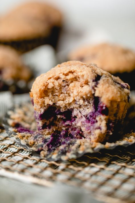 Blueberry Walnut Bread, Blueberry Walnut Muffins, Mini Blueberry Muffins, Walnut Muffins, Cinnamon Nuts, Walnut Bread, Muffin Bread, Make Bread, Baking Muffins