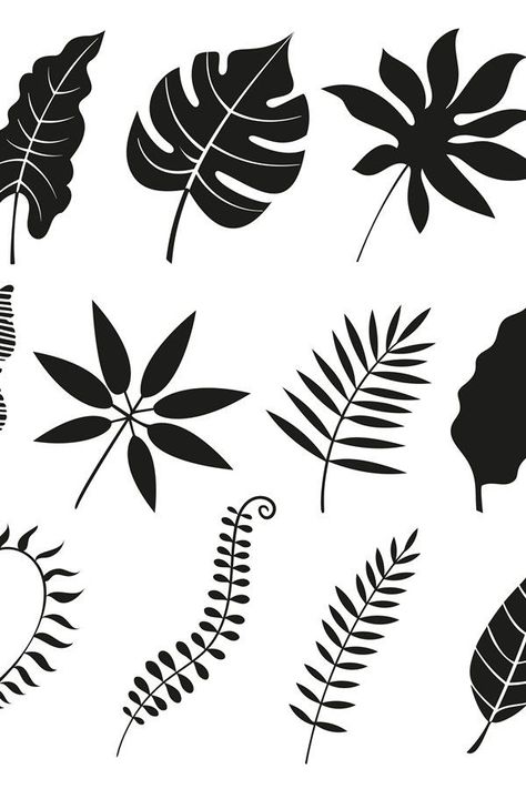 Palm leaf silhouette. Monstera frond, plant leaves silhouett (988401) | Elements | Design Bundles in 2022 | Leaf silhouette, Leaf drawing, Leaf illustration Leaf Drawings, Fantasy Cabin, Drawing Leaf, Green Drawing, Stencils Patterns, Cow Skull Art, Jungle Mural, Drawing Nature, Tropical Art Print