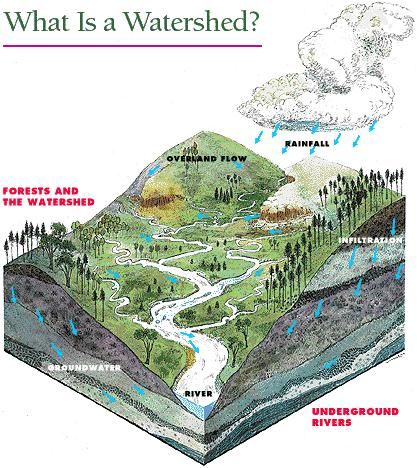 Earth Systems, Earth Science Lessons, Montessori Geography, Pollution Prevention, Sacred Water, Nature Education, Physical Geography, Earth And Space Science, Water Pond