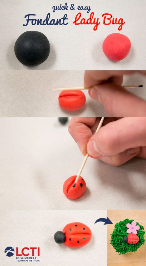 Easy Ladybug for cake decorations.  What you'll need: - Fondant - Black and Red food coloring - Toothpic - Ability to roll fondant into a ball - Love Ladybug Cupcakes, Rolling Fondant, Ladybug Party, Red Food Coloring, Red Food, Easy Cookies, Cup Cakes, Cake Cake, Food Coloring