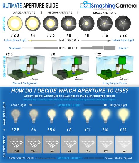 Trying to better understand Apertures? Unsure of when to use a Large Aperture or when to use a Small Aperture? Use our Ultimate Aperture Guide to better understand the relationship of Shutter Speed and the available light. We help make it easy to select the correct Aperture setting so you get the correct exposure for your images. Aperture Depth Of Field, Alevel Photography, Photography Aperture, Photography Notes, Guide Infographic, Camera Aperture, Aperture Photography, Aperture Settings, Aperture And Shutter Speed