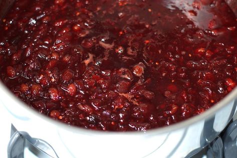 Cherry Chutney, Rhubarb Chutney, Cherry Recipes Dessert, Onion Chutney, Cucumber Yogurt, Canned Cherries, Frozen Cherries, Cherry Recipes, Roasted Meat