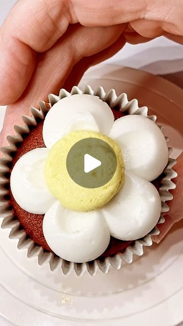 Cupcakes by Megan on Instagram: "Daisy cupcakes

#cupcakes 
#cupcakedecorating 
#cupcakesofinstagram 
#daisy 
#daisycupcakes" Easy Cupcakes Decoration, Daisy Cupcakes, Frosting Flowers, Cupcake Tutorial, Daisy Cakes, Eat Cupcakes, Amazing Food Decoration, Cupcakes Decorados, Cupcake In A Cup