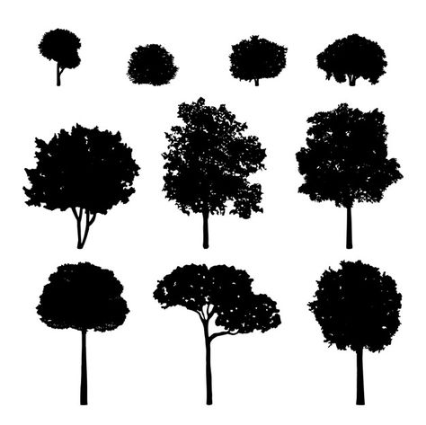 Trees Free Vector Tree Vector Png, Oak Tree Silhouette, Tree Silhouette Tattoo, Paint Png, Silhouette Tree, Plant Frame, Pine Tree Silhouette, About Trees, Silhouette Drawing