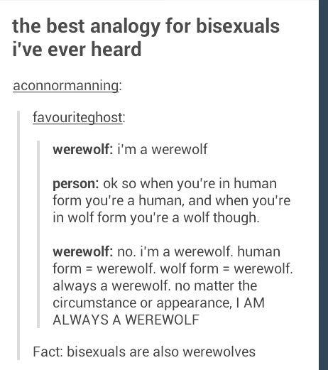 XD Werewolf Text Post, Werewolf Tumblr, Magic People, Meaningful Things, Writing Stuff, Spooky Scary, Twisted Humor, Urban Fantasy, Girl Stuff