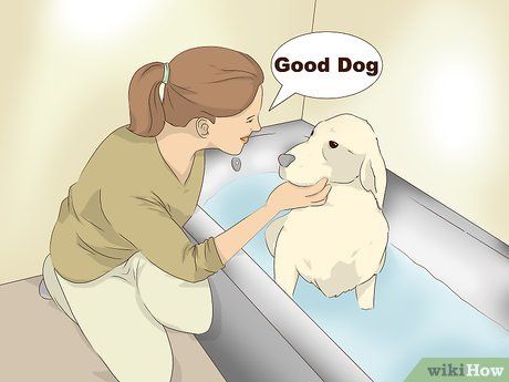 How to Make an Oatmeal Bath for a Dog: 12 Steps (with Pictures) Aveeno Oatmeal Bath, Oatmeal Bath For Dogs, Oatmeal For Dogs, Milk Bath Diy, Dog Allergies Remedies, Oatmeal Water, Plain Oatmeal, Milk Bath Recipe, Oatmeal Bath