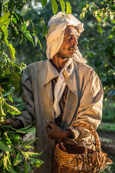 Ethiopia Coffee Trade | Ami Vitale Ethiopia Coffee, Coffee Ceremony, Goat Herder, Photojournalism Photography, Coffee Tree, A Goat, Ig Feed, The Monks, Photojournalism