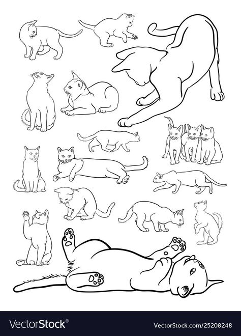 Animal Line Art, Cartoon Cat Drawing, Simple Cat Drawing, Line Illustrations, Back Drawing, Cat Drawing Tutorial, Cats Art Drawing, Illustrations Design, Line Art Vector