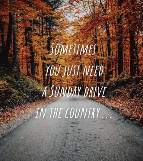 Drive Quotes, Driving Quotes, Sunday Quotes, Cheer Quotes, The Way Home, Just Go, Of My Life, Country Roads, Drive