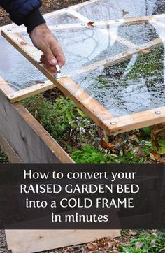 Cold Frame Gardening, Winter Vegetables Gardening, Diy Garden Bed, Taman Diy, Vegetable Garden Raised Beds, Winter Gardening, Building A Raised Garden, Cold Frame, Organic Gardening Tips