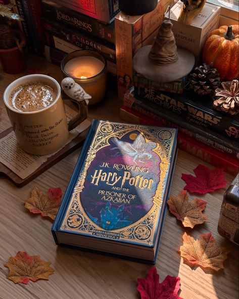 Halloween Book Aesthetic, Harry Potter Aesthetic Book, Pumpkin Carving Hocus Pocus, Harry Potter Book Aesthetic, Harry Potter Books Aesthetic, Harry Potter Autumn, Harry Potter Prisoner Of Azkaban, Harry Potter Book, Harry Potter Poster