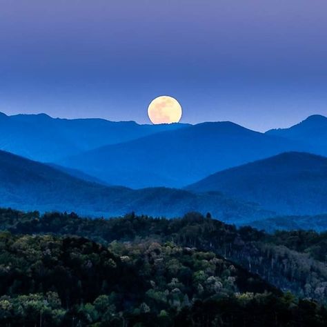 Jimmy Beals, Blue Ridge Mountain Life Smoky Mountain Photography, Mountain Scape Photography, Mountains At Night Painting, Smokey Mountains Aesthetic, Blue Mountains Aesthetic, Blue Mountain Aesthetic, Blue Ridge Mountains Tattoo, Blue Landscape Photography, Mountain Scenery Photography