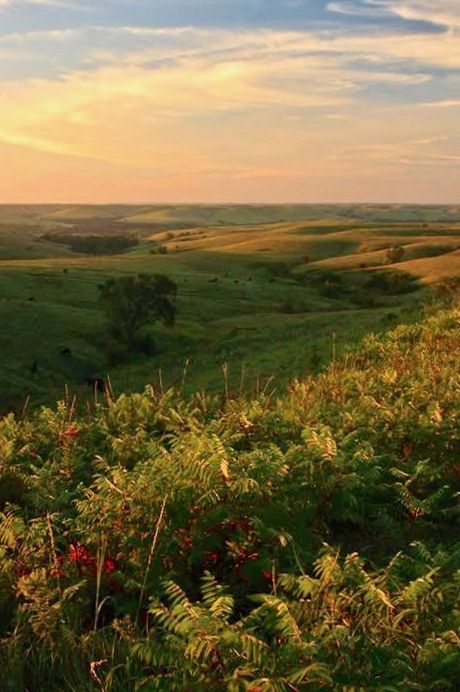 Kansas Landscape, Kansas Photography, Landscape Photography Beach, Kansas Day, Prairie Landscape, Mountain Landscape Photography, Flint Hills, Landscape Photography Tips, Landscape Images