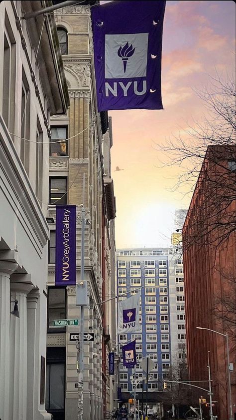 Nyc Law School Aesthetic, Nyu Grossman Aesthetic, The City College Of New York, Nyu Wallpapers, Nyu Vision Board, Nyu Acceptance Letter Aesthetic, Nyu Asethic, Nyu Student Aesthetic Wallpaper, Nyu Law School Aesthetic