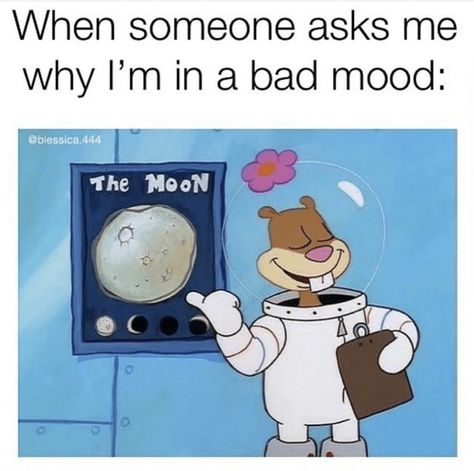 I love the moon and the moon loves me #moon #astrology #moonmemes #memes #astrologymemes Close Minded, Memes For Him, Budget Help, Smart Goal Setting, Dark Jokes, Dark Memes, Mercury Retrograde, Bad Mood, Meme Faces